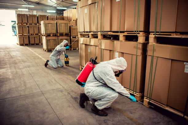 Best Pest Prevention Services  in Augusta, KS