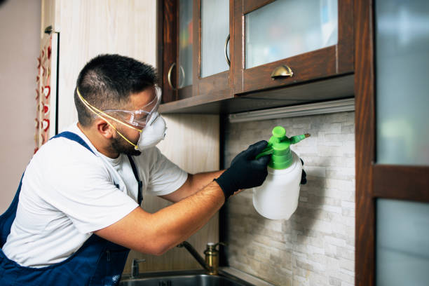 Best Flea Control Services  in Augusta, KS