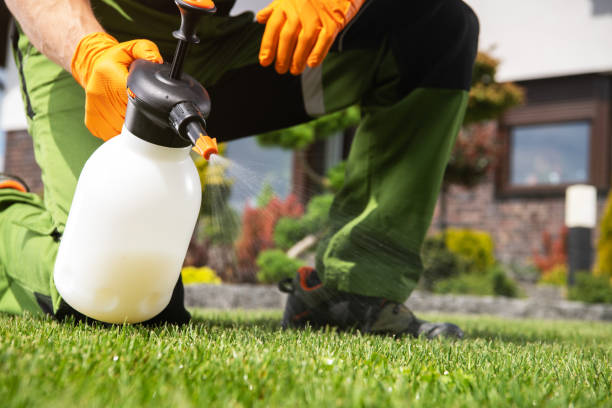 Best Wasp Removal Services  in Augusta, KS