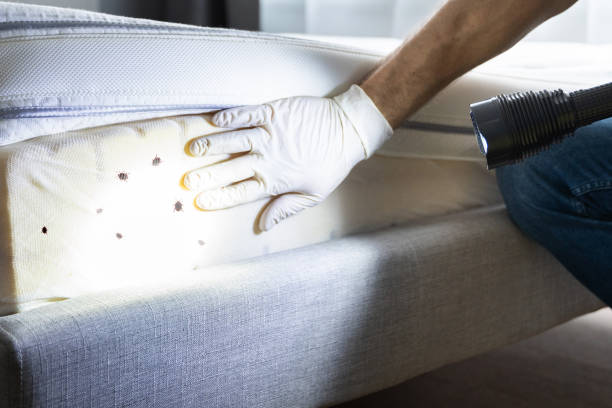 Best Rat Extermination Near Me  in Augusta, KS