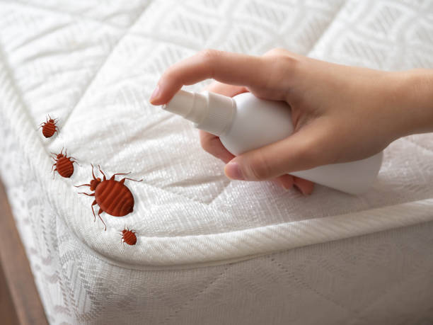 Pest Prevention Services in Augusta, KS