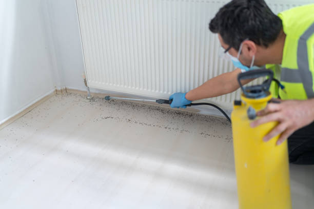 Best Best Pest Control Companies  in Augusta, KS