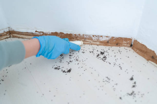 Best Exterminator Services  in Augusta, KS
