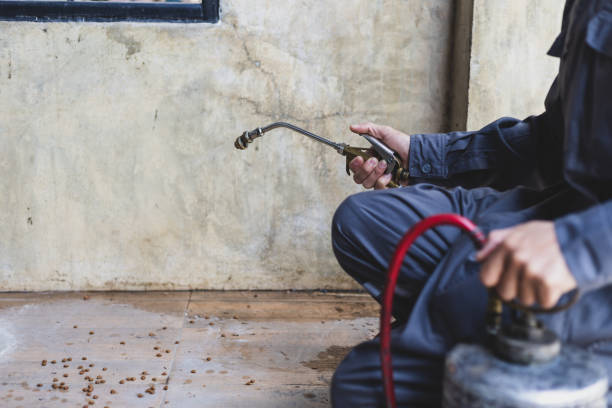 Best Affordable Pest Control Services  in Augusta, KS